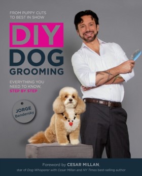 DIY Dog Gr …