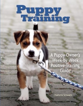 Puppy Trai …