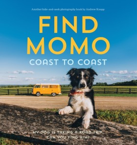 Find Momo …