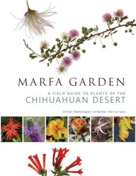 Marfa Gard …