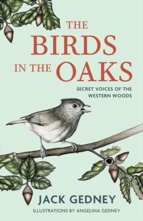 The Birds …