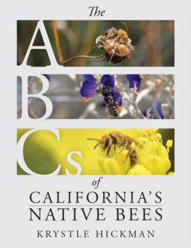 The ABCs o &hellip;