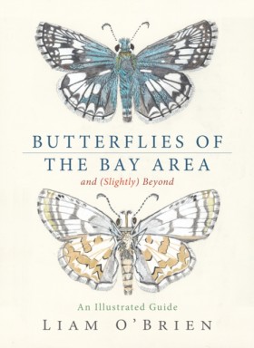 Butterflie &hellip;