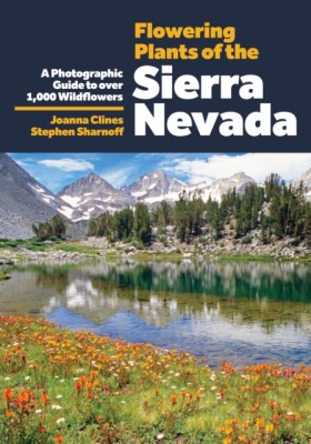 Flowering &hellip;