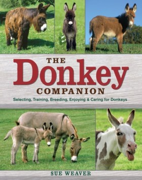 Donkey Com …