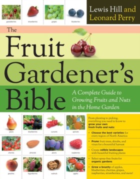 The Fruit …