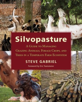 Silvopastu …