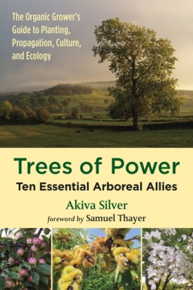 Trees of P &hellip;