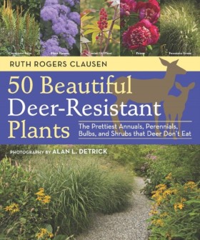 50 Beautif &hellip;