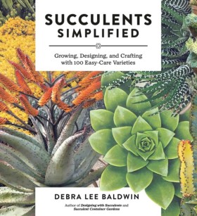 Succulents &hellip;