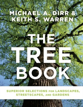 The Tree B &hellip;