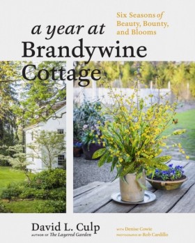 A Year at &hellip;