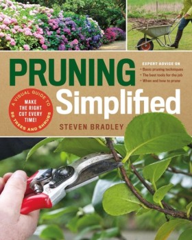 Pruning Si &hellip;