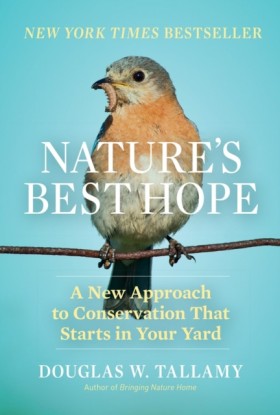 Natures Be …