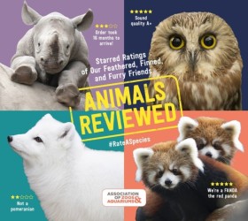 Animals Re &hellip;