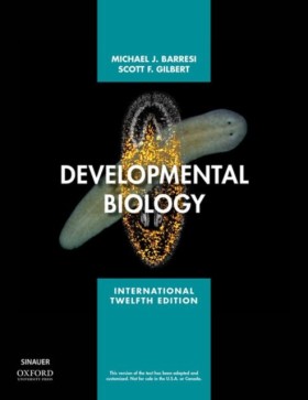 Developmen &hellip;