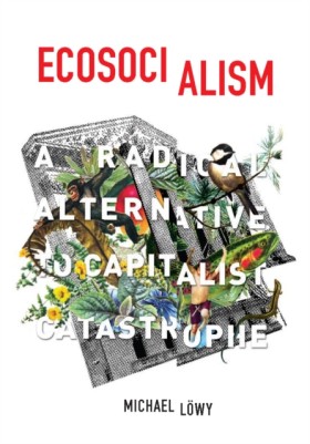Ecosociali &hellip;