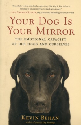 Your Dog i &hellip;