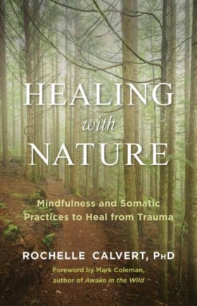 Healing wi &hellip;