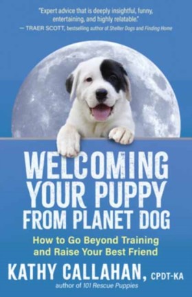 Welcoming &hellip;