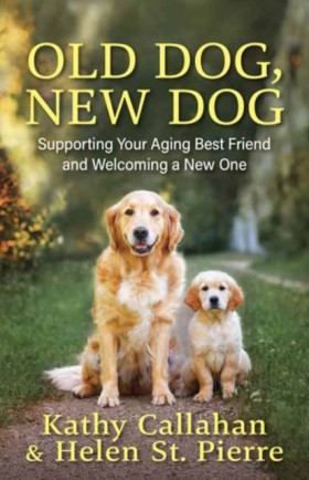 Old Dog, N &hellip;