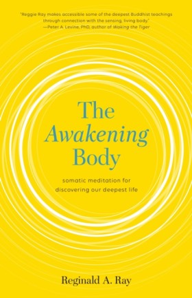 The Awaken …