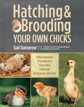 Hatching & …