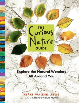 The Curiou &hellip;