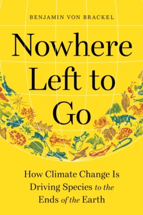 Nowhere Le &hellip;