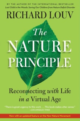The Nature …