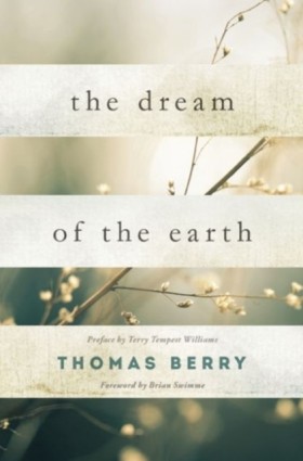 The Dream &hellip;