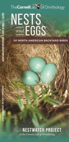 Nests and &hellip;