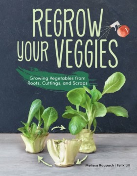 Regrow You &hellip;