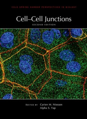 Cell-Cell …