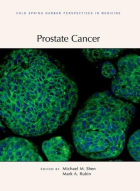 Prostate C &hellip;