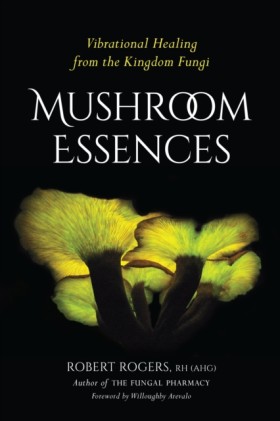 Mushroom E …