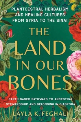 The Land i …