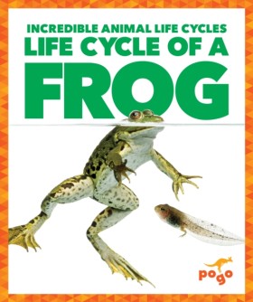Life Cycle &hellip;