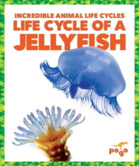 Life Cycle &hellip;