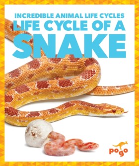 Life Cycle &hellip;