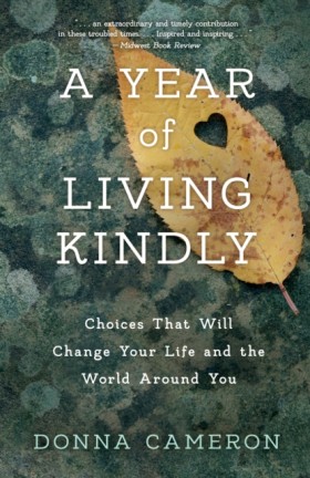 A Year of &hellip;