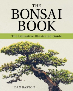 The Bonsai …