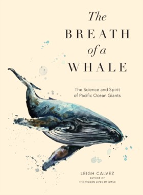 The Breath …