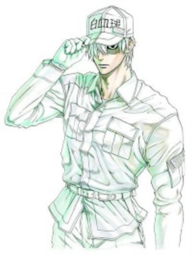 Cells At W …