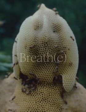 Breath(e): &hellip;