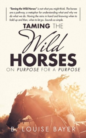 Taming The …