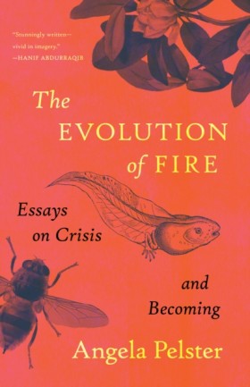 The Evolut &hellip;
