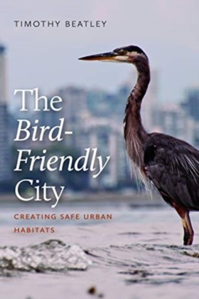 The Bird-F …
