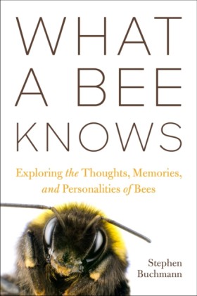 What a Bee …