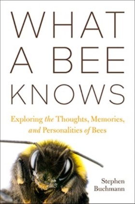 What a Bee …